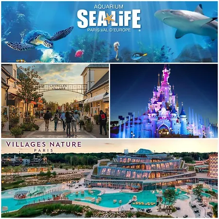 La Creste Disneyland Bmyguest